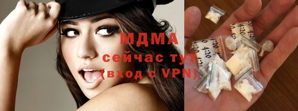 индика Туринск