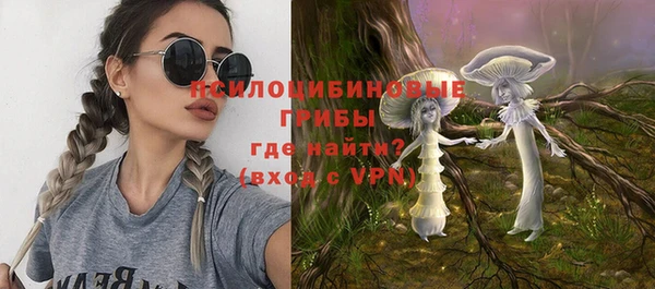 кокс Бородино