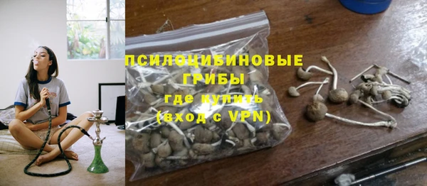индика Верея